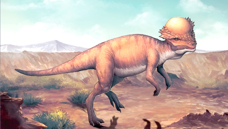 肿头龙:拥有"铁头功"的恐龙,白垩纪晚期的生存者