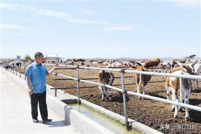 "有招书记"刘金锁卖牛有"新招"