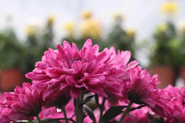 �������λ����������ڼ�76���˴γ������� ��������7��Ԫ