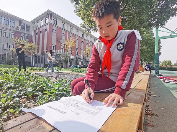 边劳作边做数学题 九亭五小学生会学习会"做生活"