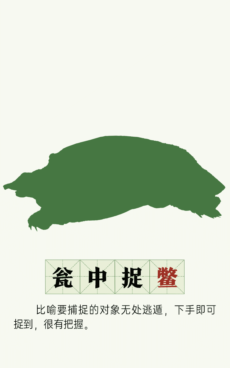 曝光!成语里的它们惊现涨渡湖