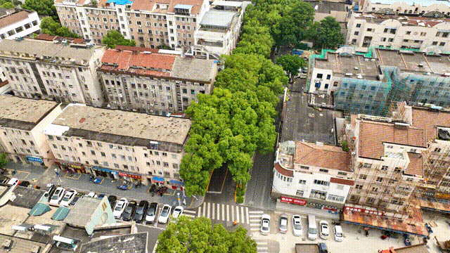 园林路,真的很好逛!