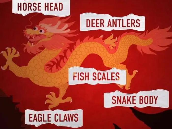 "龙"竟然应该翻译为loong?