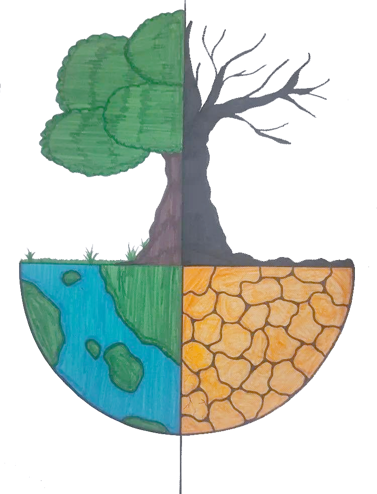 创意环保绘画:展现水资源珍贵与脆弱,共筑节水未来