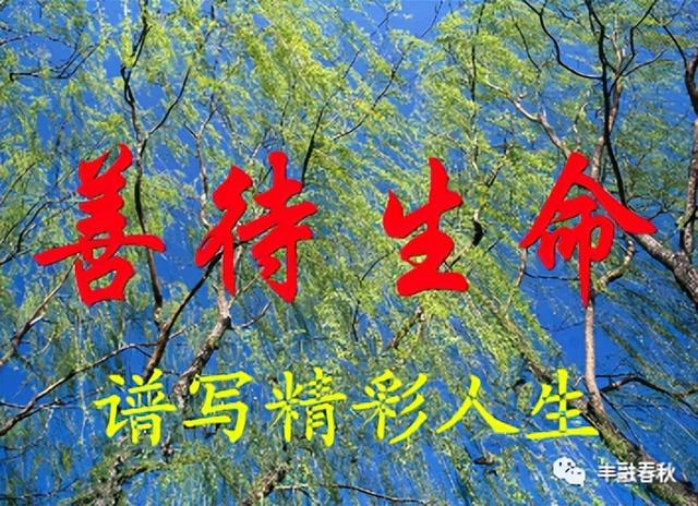 随笔|朱炳初:善待生命
