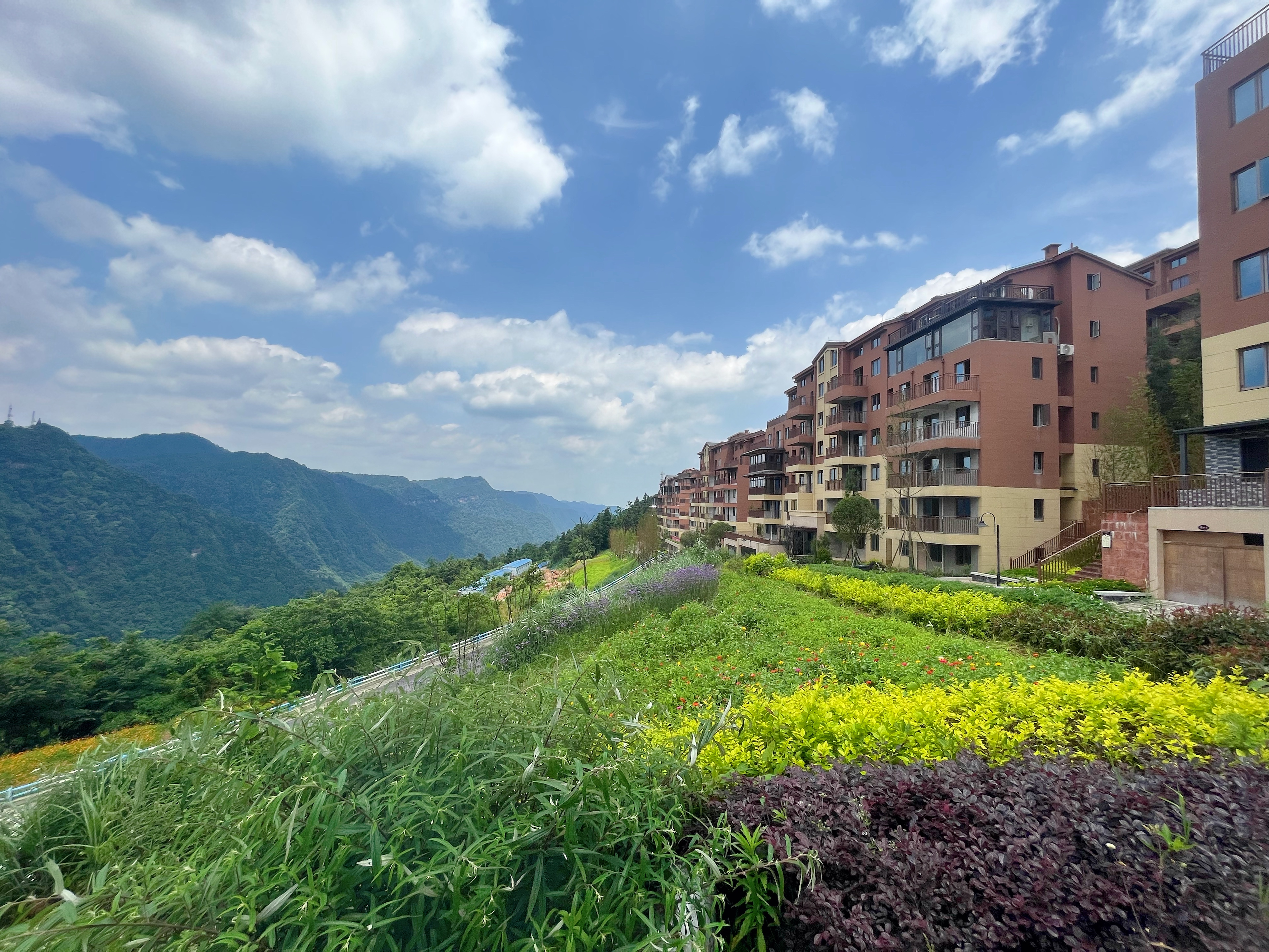江津四面山避暑房,堪称重庆普罗旺斯花海,夏天享受23°c的清凉!