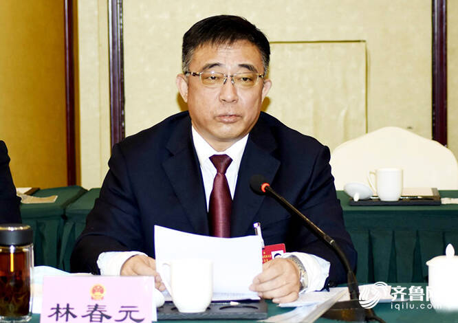 德州市人大代表,临邑县委书记 林春元:以重大项目建设为引领 加快打造