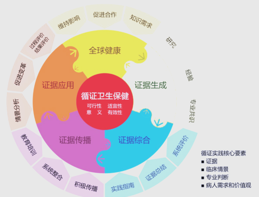Pipost PIPOST模型:临床护理决策的新阶段与未来