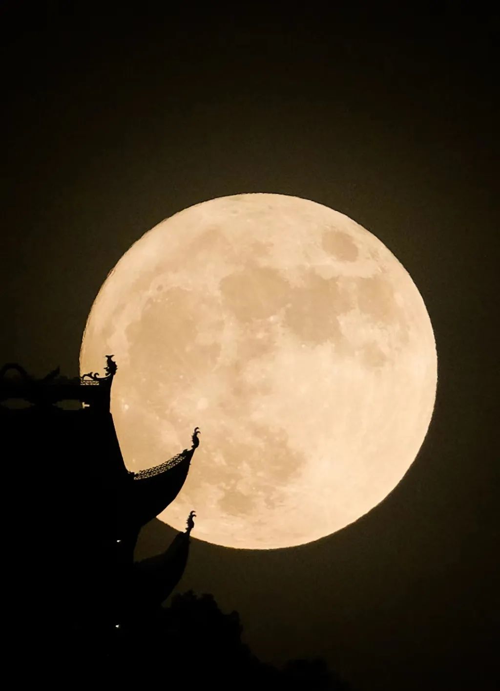 错过等明年来看山城夜景与超级月亮的美丽邂逅