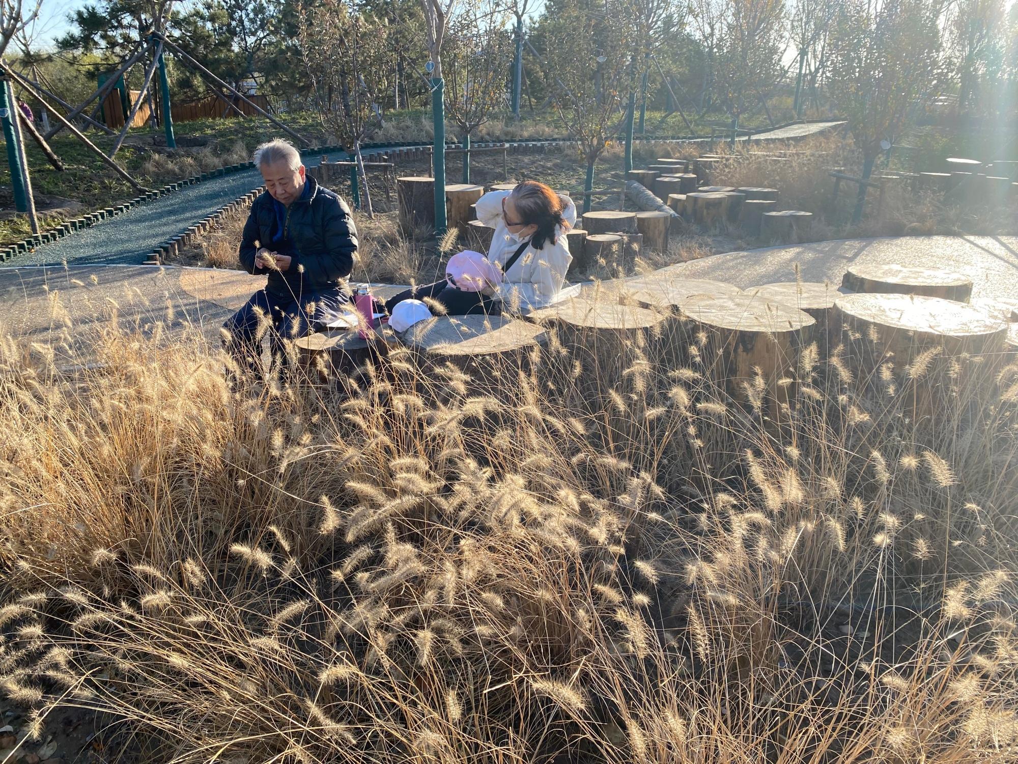 城市公园(3)——纪家庙公园