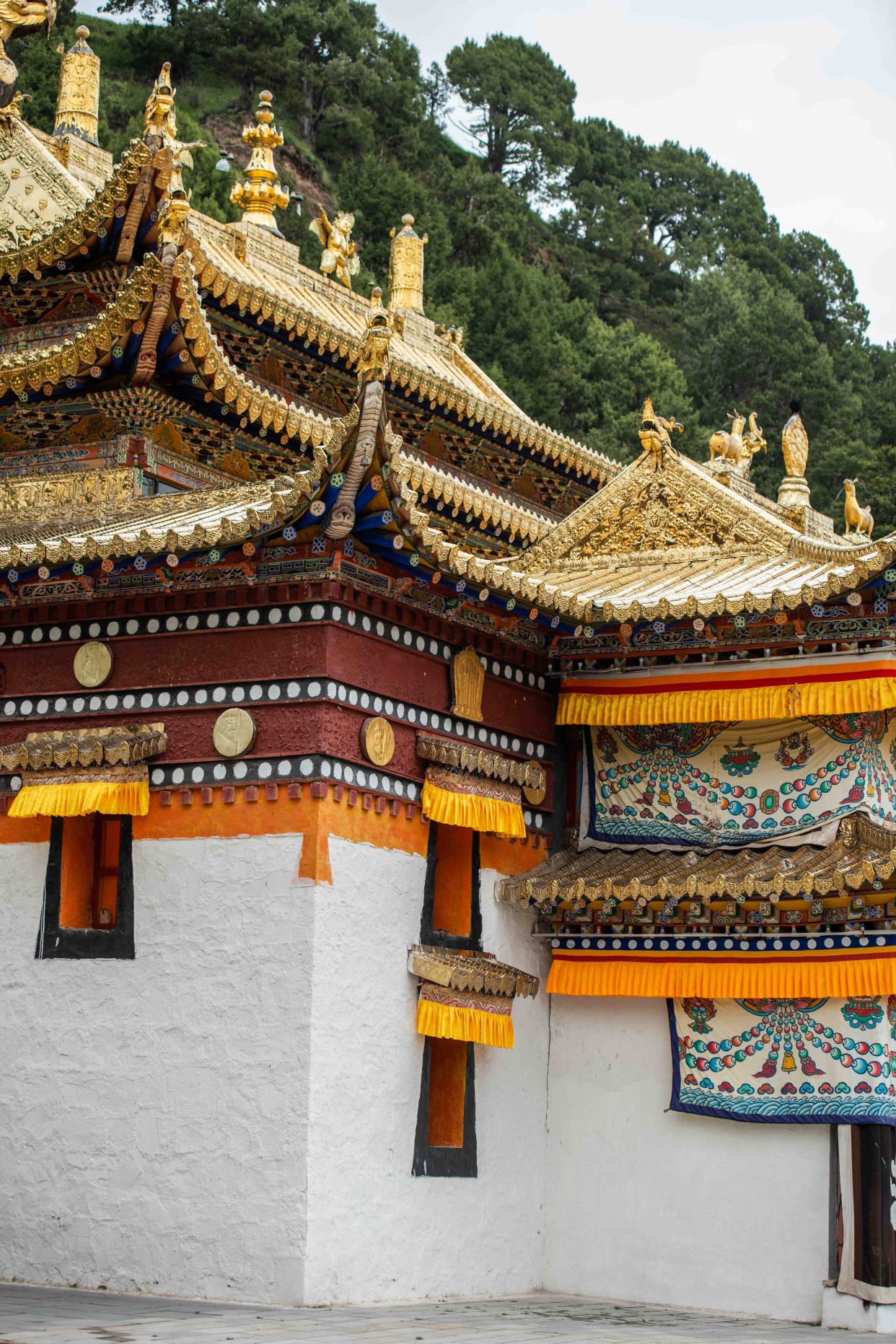 甘南旅行必去的寺庙,地处空灵,山水环绕,景色十分秀丽!