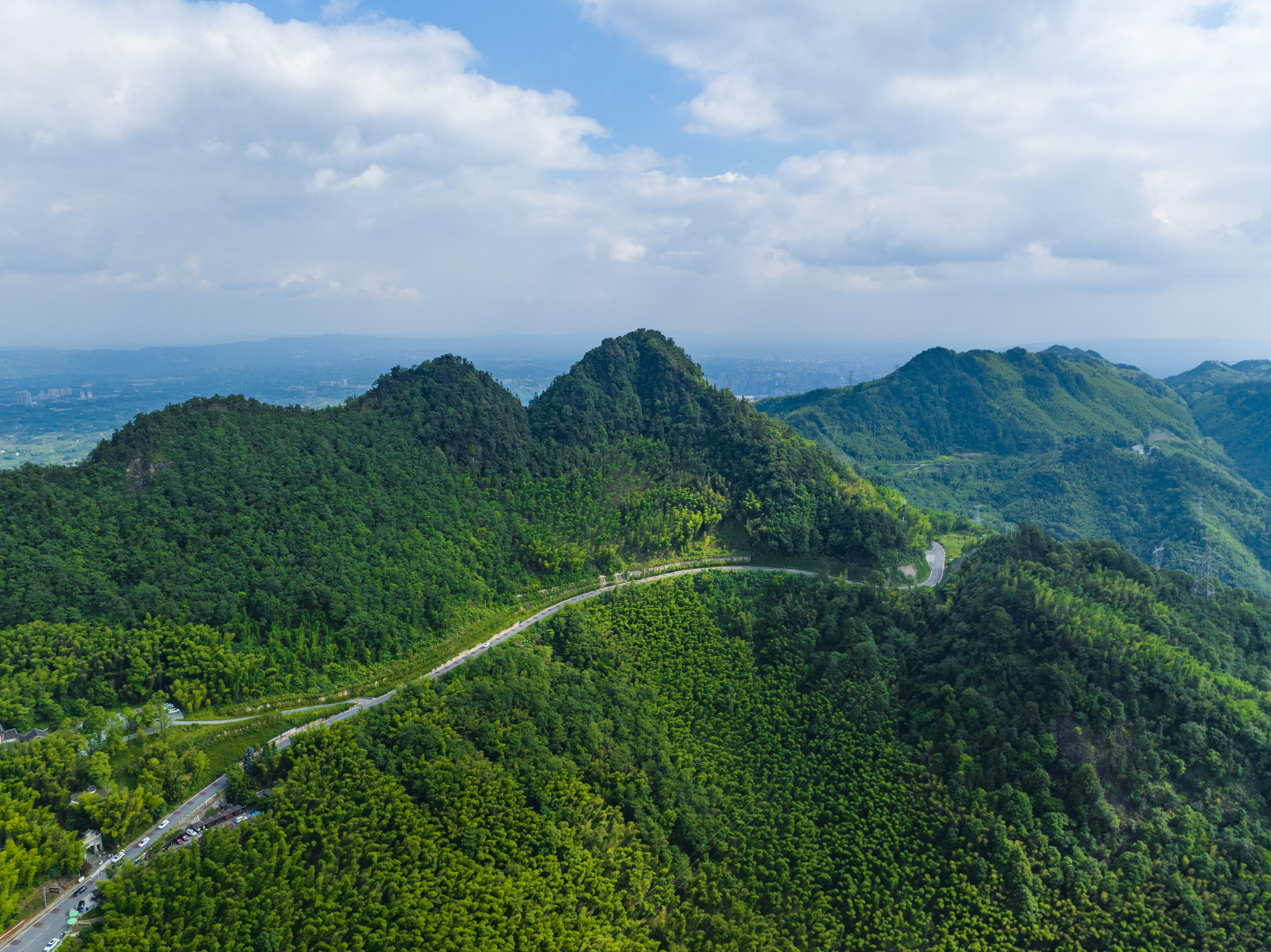 茶山竹海景区图片