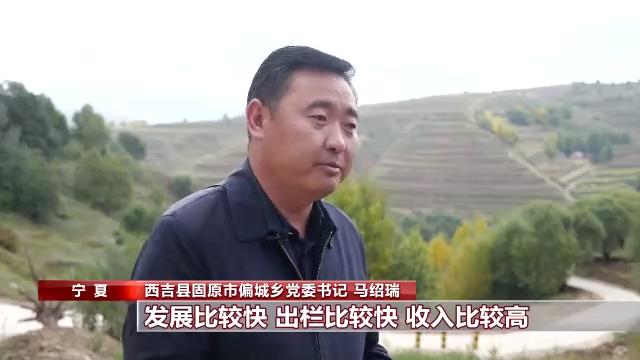 第一书记的攻坚答卷 秦振邦"返聘"驻村 践行誓言