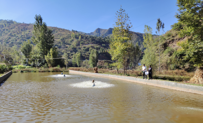 黑石头镇:写活"水文章" 做好"渔"产业