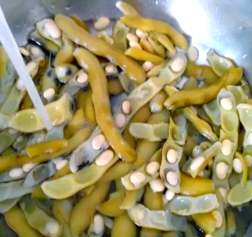 兴国客家餐桌上的独特美食