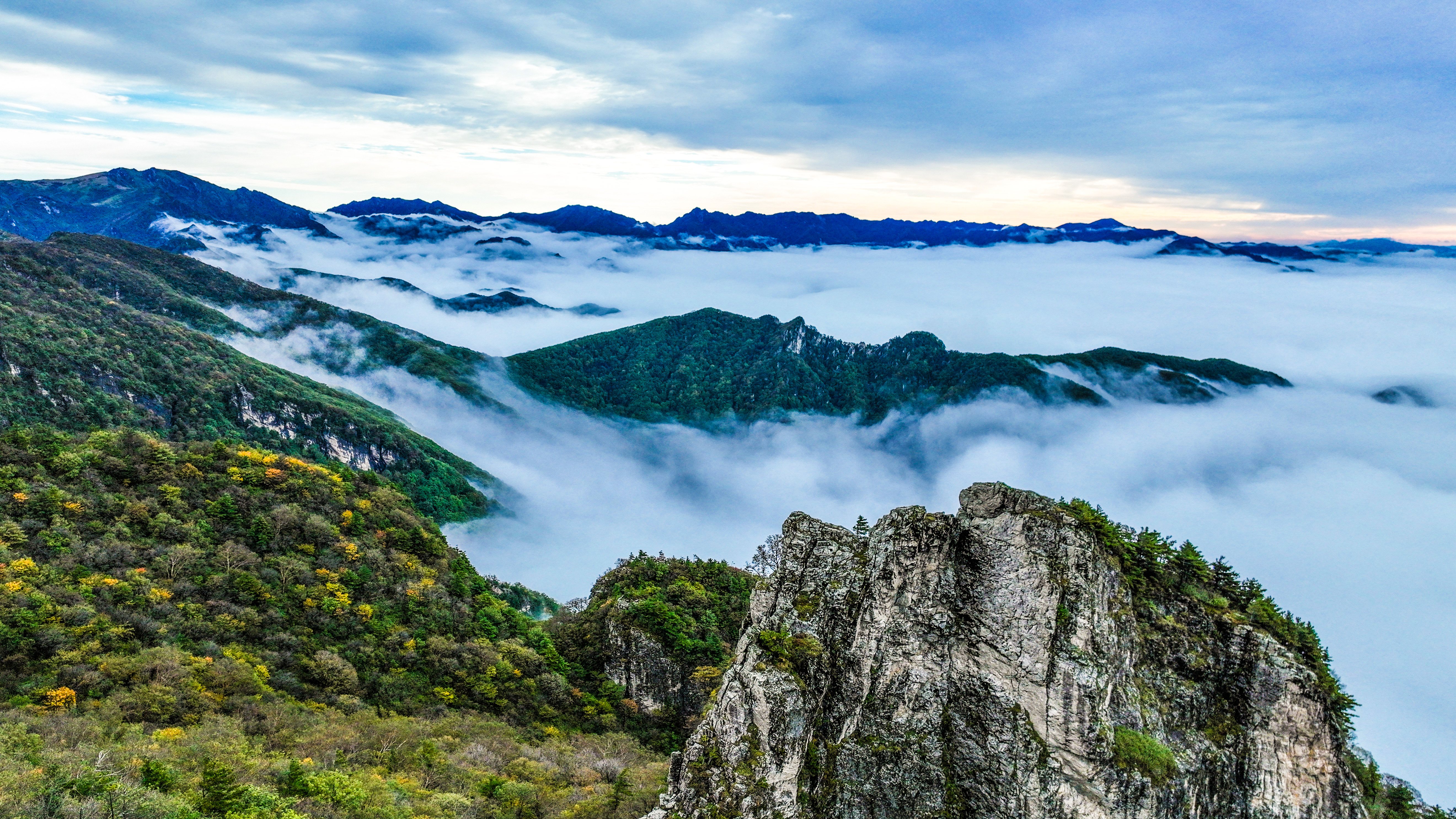 (美丽中国)陕西秦岭牛背梁现云海奇观