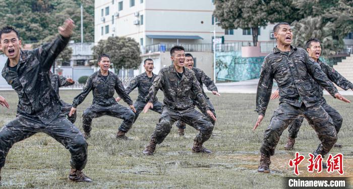 武警格斗训练图片