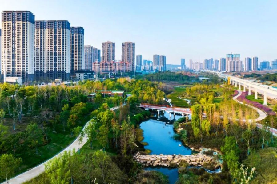 cop14来了!魅力湿地 三峡助力