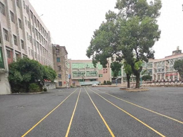 你好,麻城二中新同学!2023级新生报到