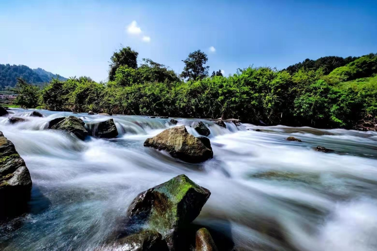 金沙县茶园镇"三个注重" 推动党组织领办集体合作社发展落地见效