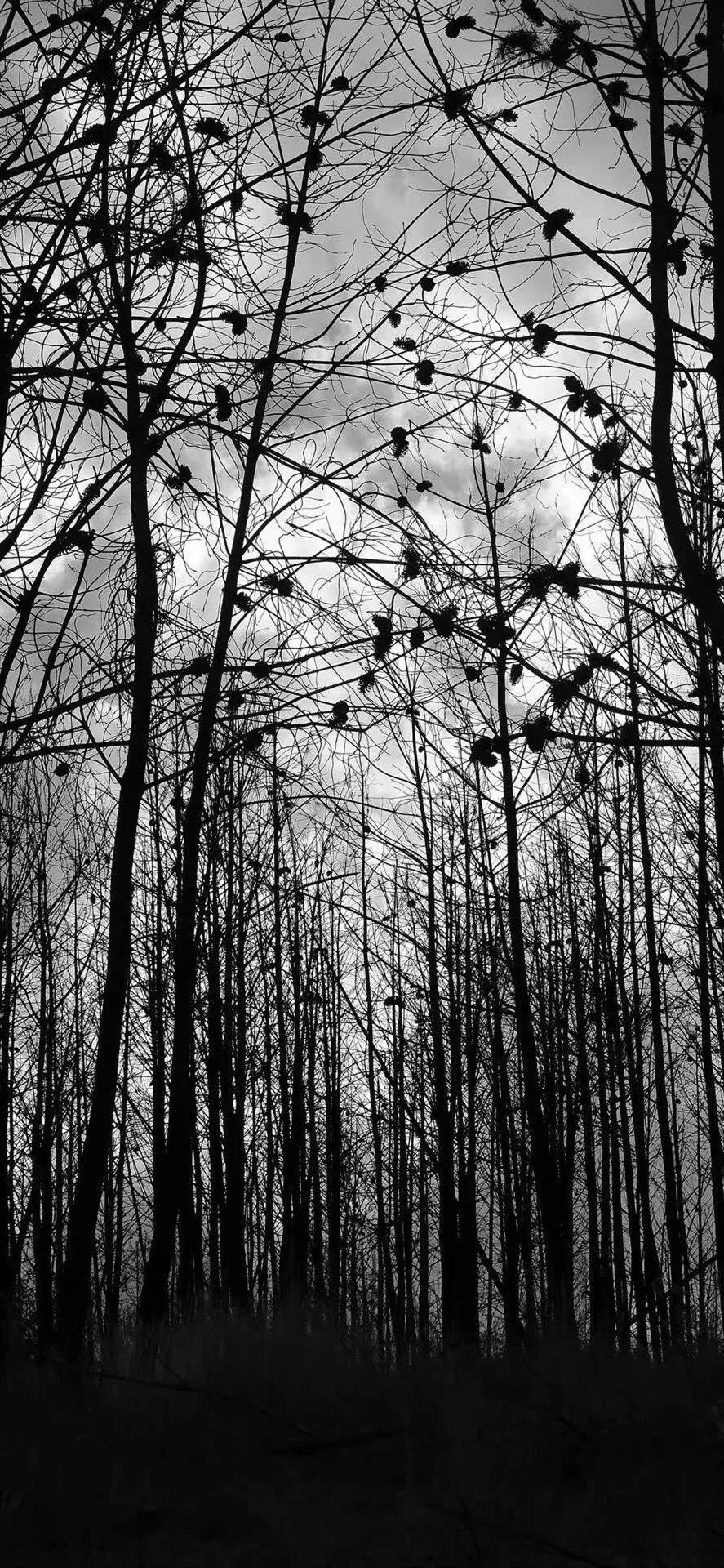 壁纸|精选ins风暗色系手机壁纸