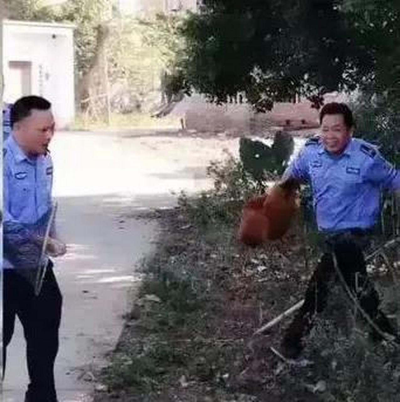 中国农管"万岁"! 中国农管横空出世,创历史之辉煌!人类之伟业!