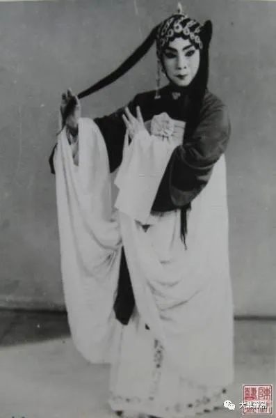 「名家名段」豫剧名家陈素真汪荃珍李树建等经典唱段欣赏