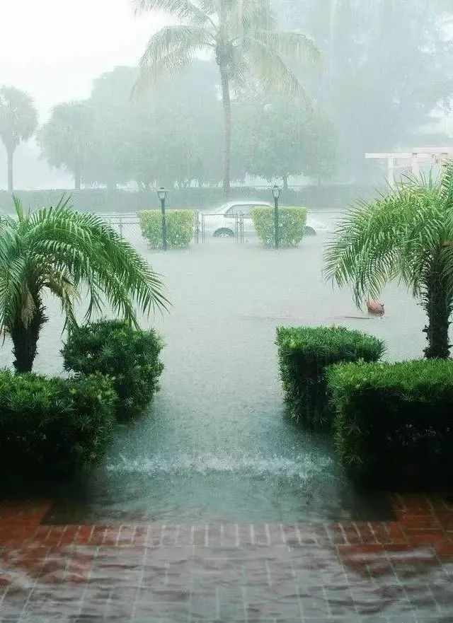 夏天下雨图片景色大图图片