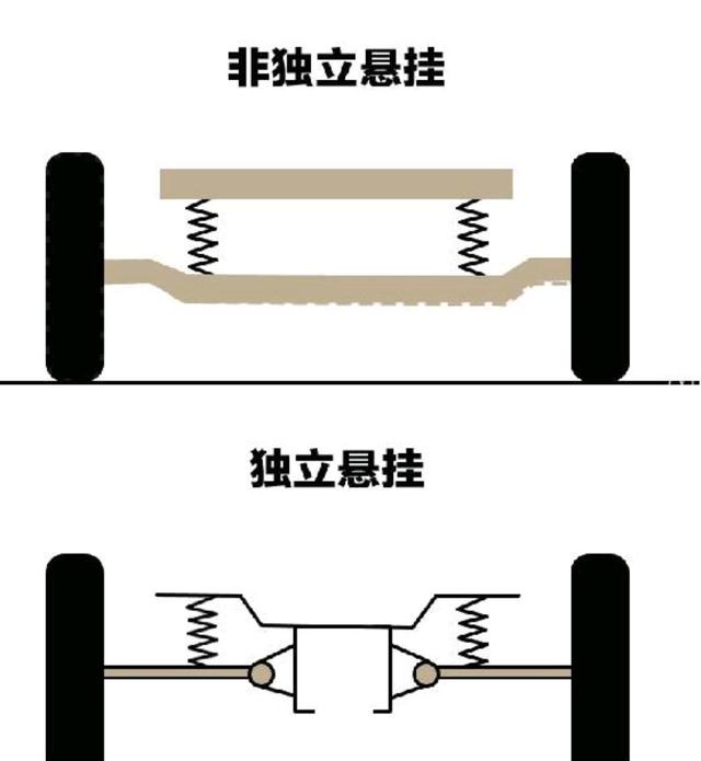 大悬臂带和小悬臂带图图片