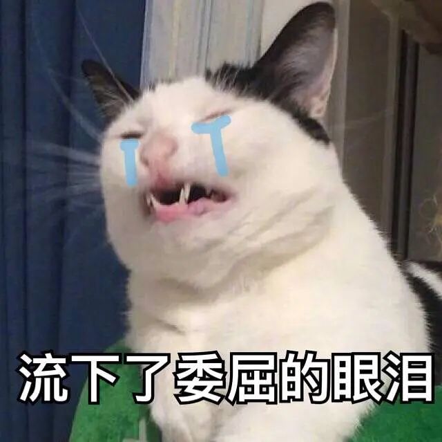 观海杂话铺434|变身手艺人!花式宠娃,只服这些老小孩们