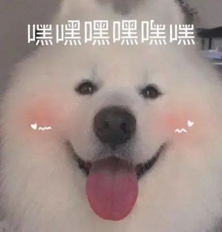 表情包:你快乐就好