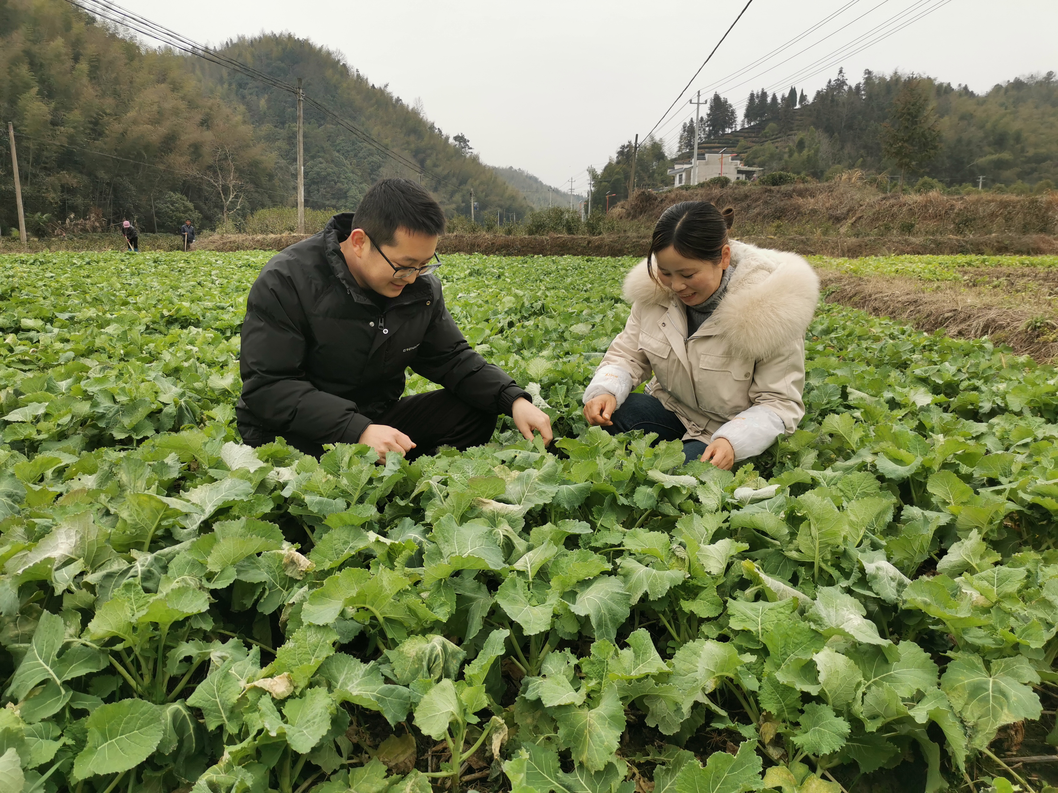 黟县渔亭镇:春耕农忙正当时