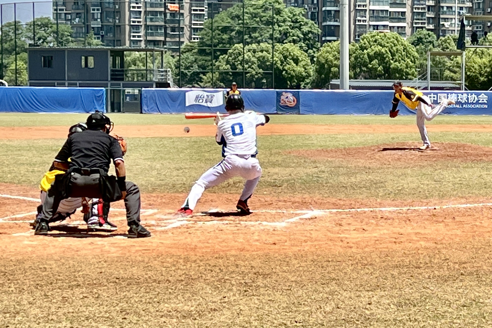 上海红鹰全胜夺得中国棒球联赛无锡站冠军