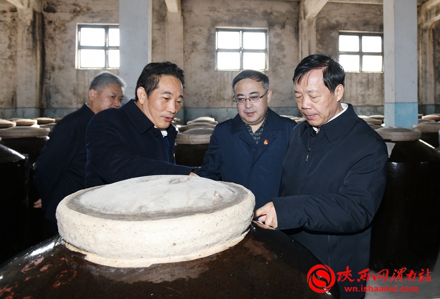 樊存弟赴白水县督导调研稳增长,重大风险防范化解等工作(组图)