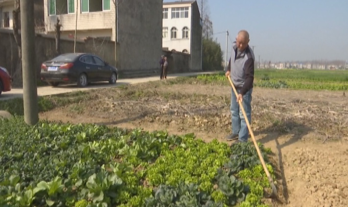 张少红:从贫困户到脱贫典型的"蜕变"