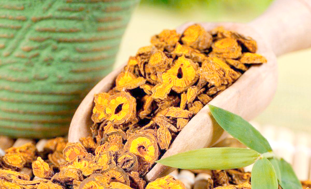 中药知识全解析:黄连的特性与应用