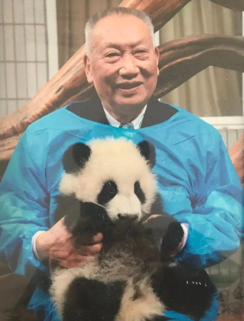 「雅安」对话"熊猫之父"胡锦矗之女,感悟人与自然和谐共生