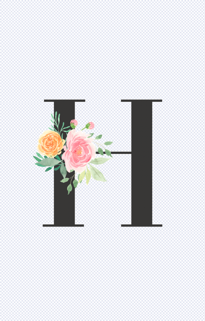 「案例分享」非营利商业咨询公司,h-1b免抽签3天批准