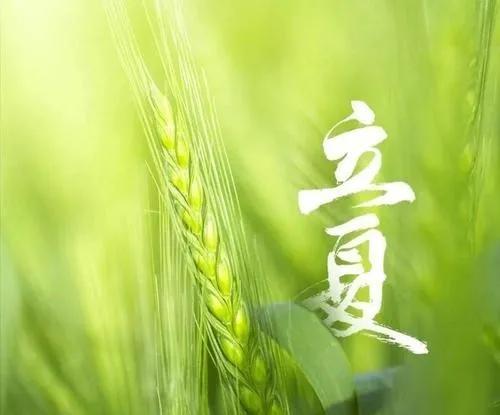 喜来春·立夏「张雨体」(词林正韵)●文/张元平(湖北)