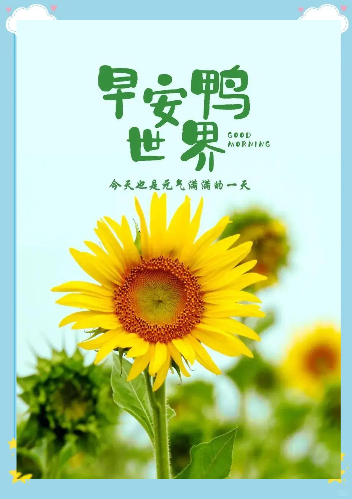 正能量语录一句话(正能量语录一段话)