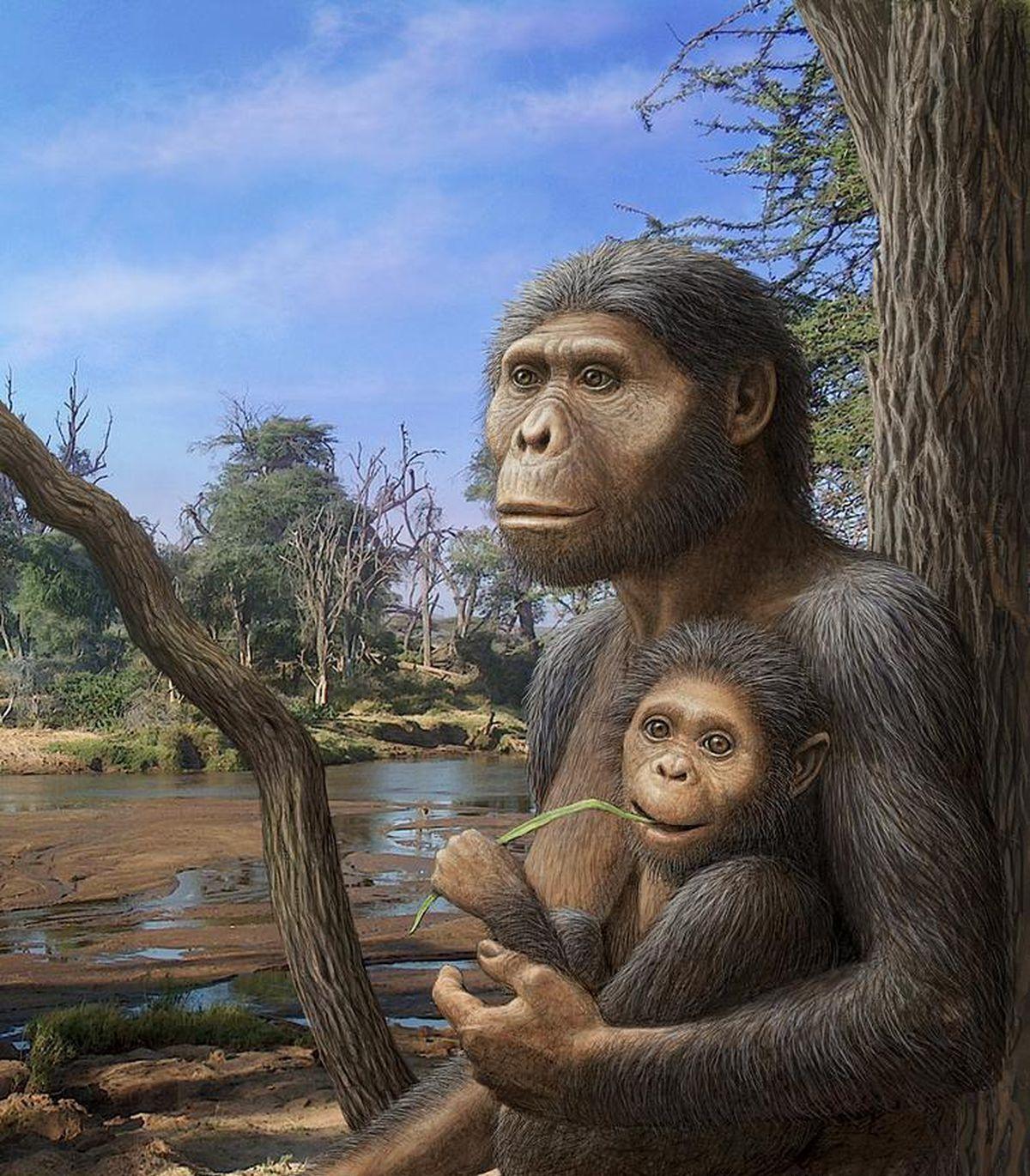 人都是女人生的,第一个女人从何而来?第一个人类是男性还是女性