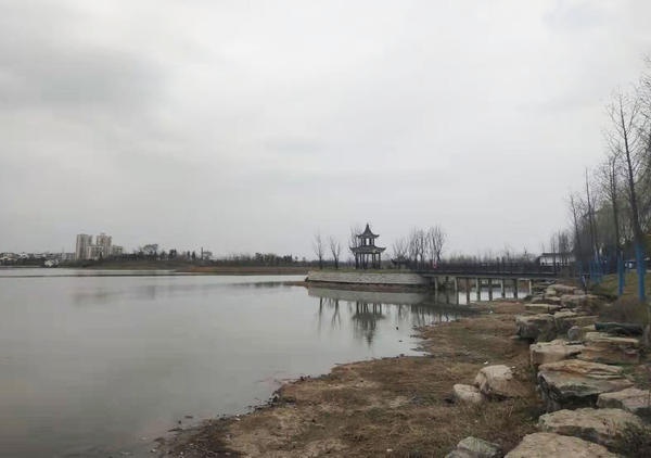 淮滨:公园成为市民"绿色乐园"