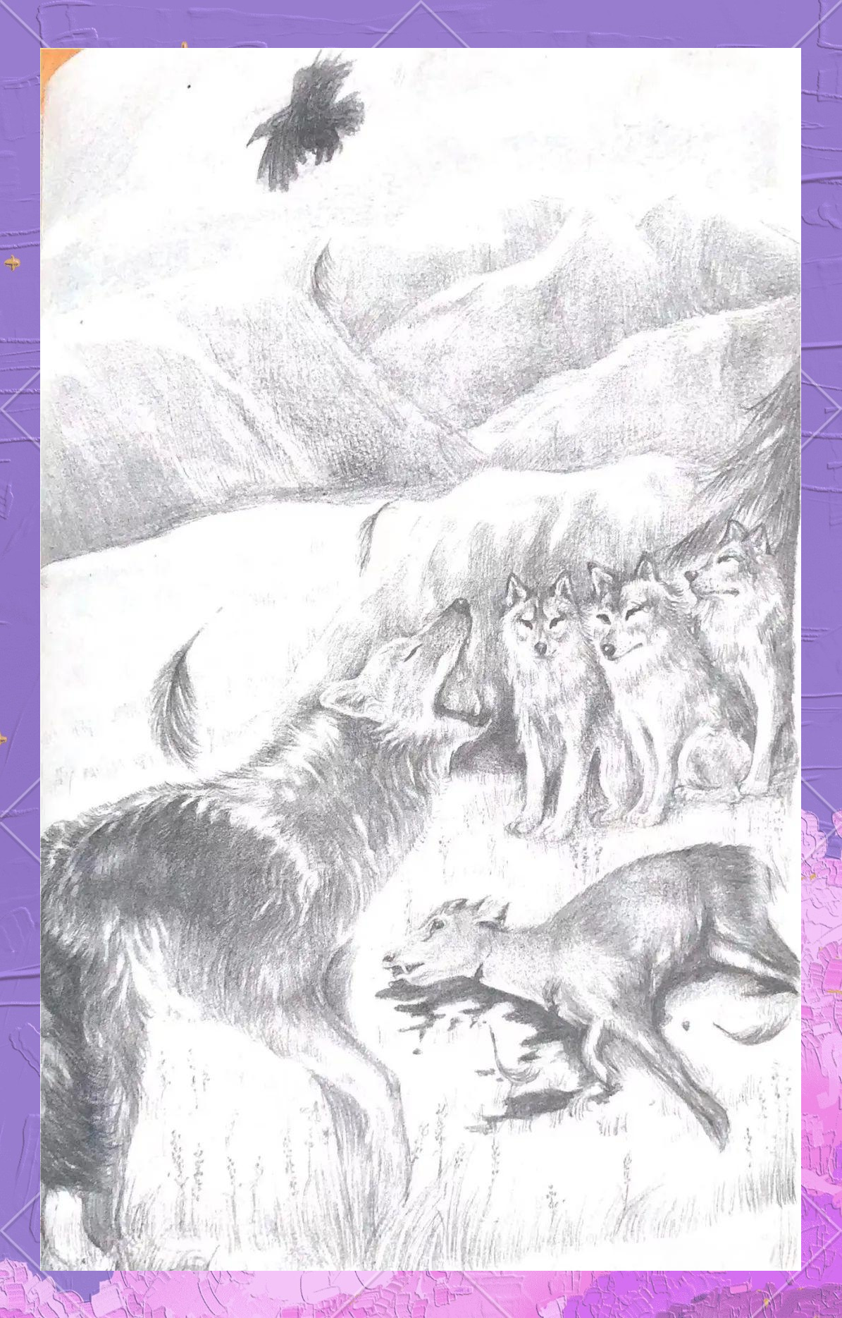 狼王梦:母狼紫岚的坚韧与牺牲精神
