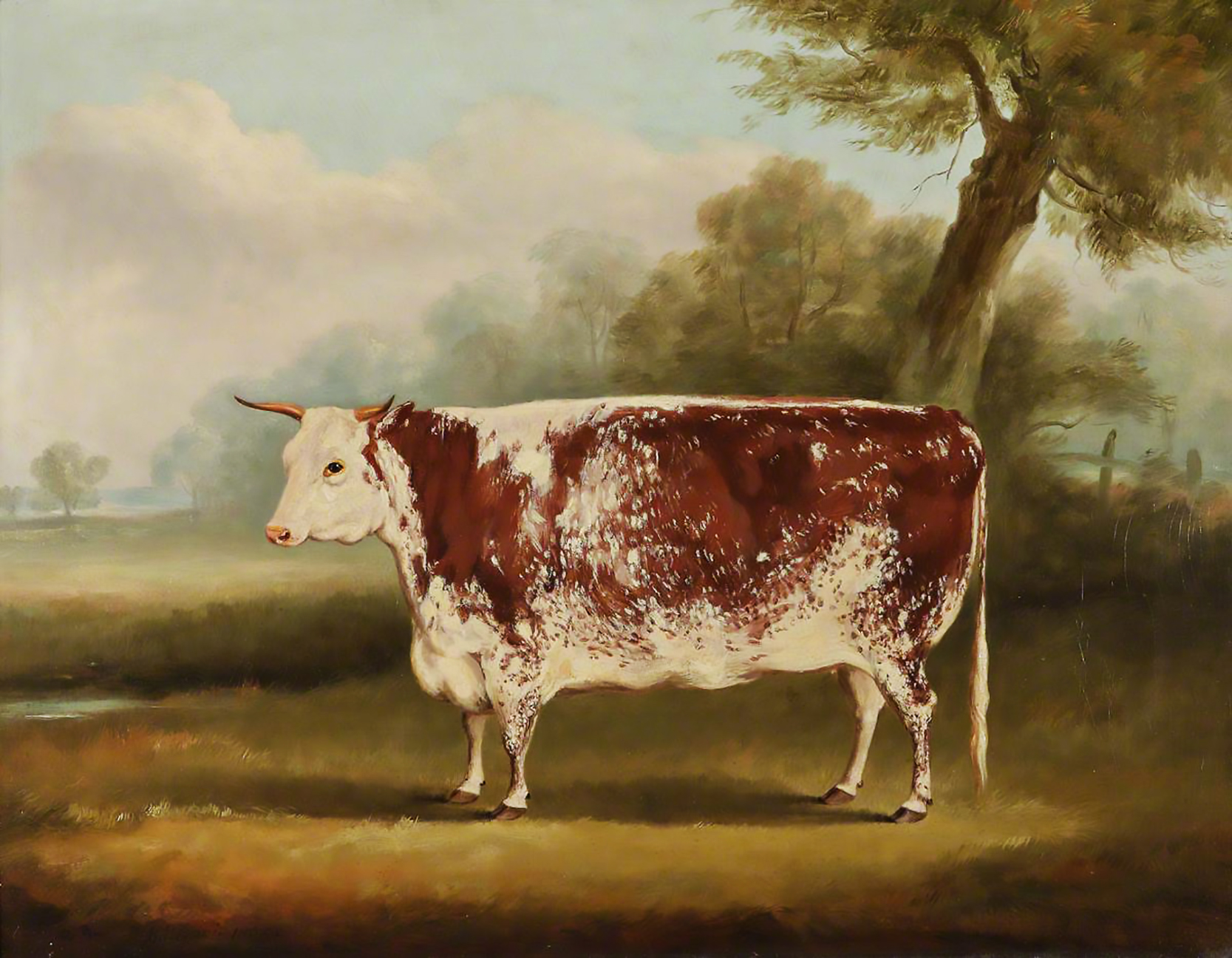 为什么画成这样?英国油画中的奶牛几乎是完全长方形的