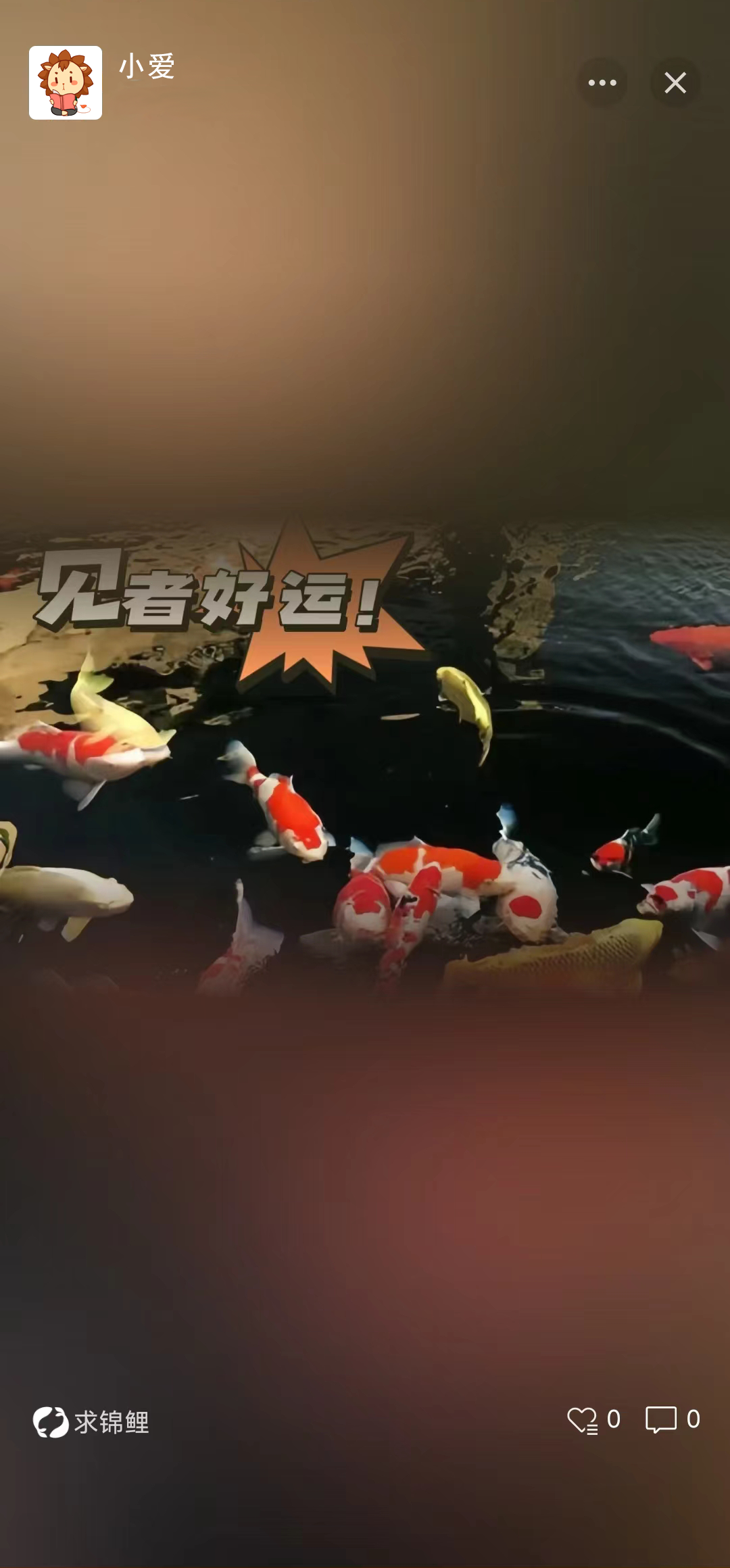 一刻点亮微信状态用emoji记录当下实况品味他人分享自我生活万般姿态