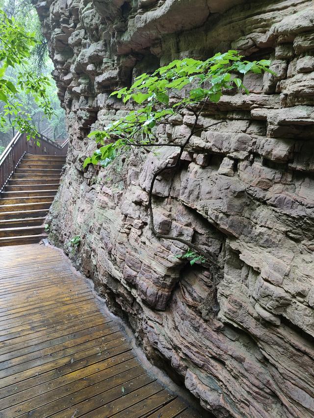 李云增:采风渑池仙门山(组诗)