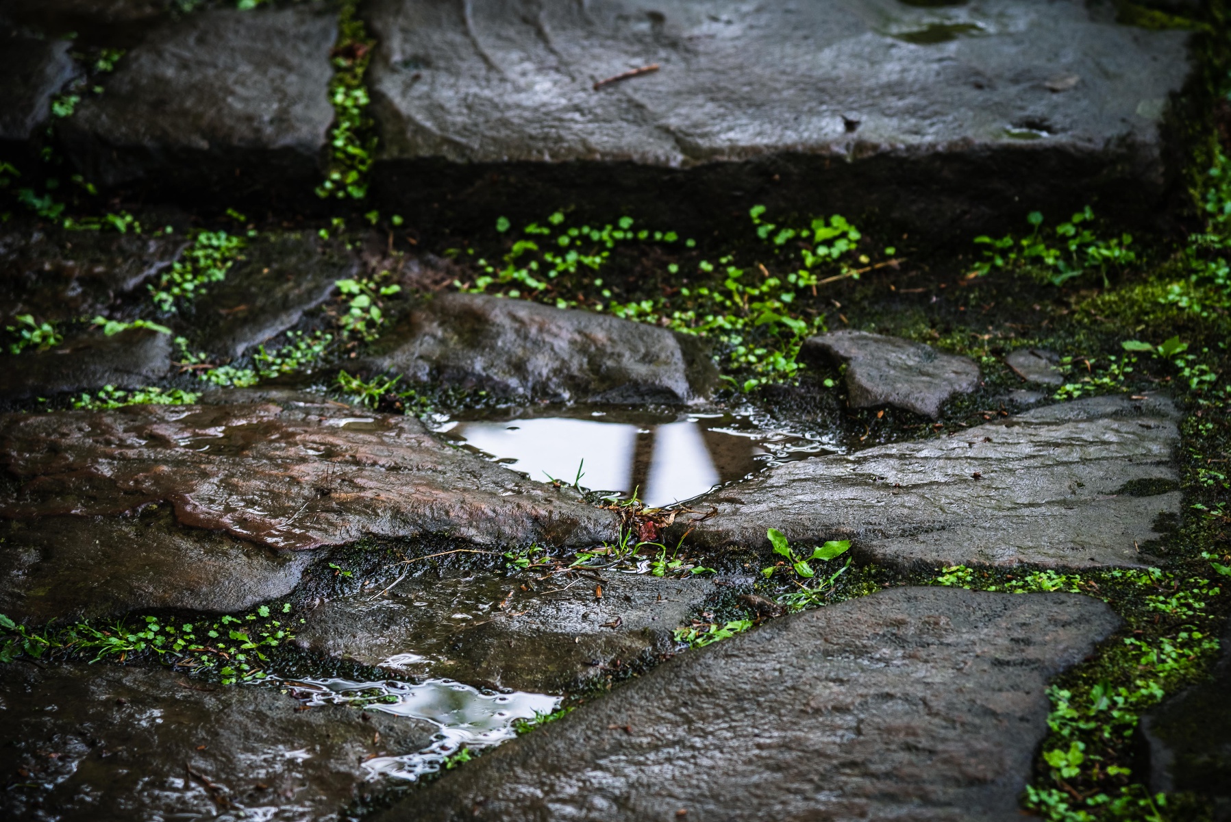 組圖|咸豐唐崖土司遺址:水窪倒影 詩意而唯美