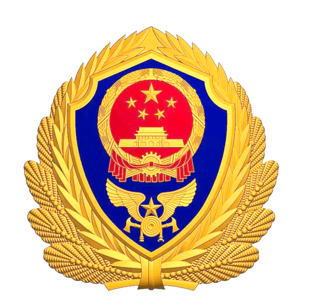 消防救援队伍新队徽,胸徽的寓意与解读