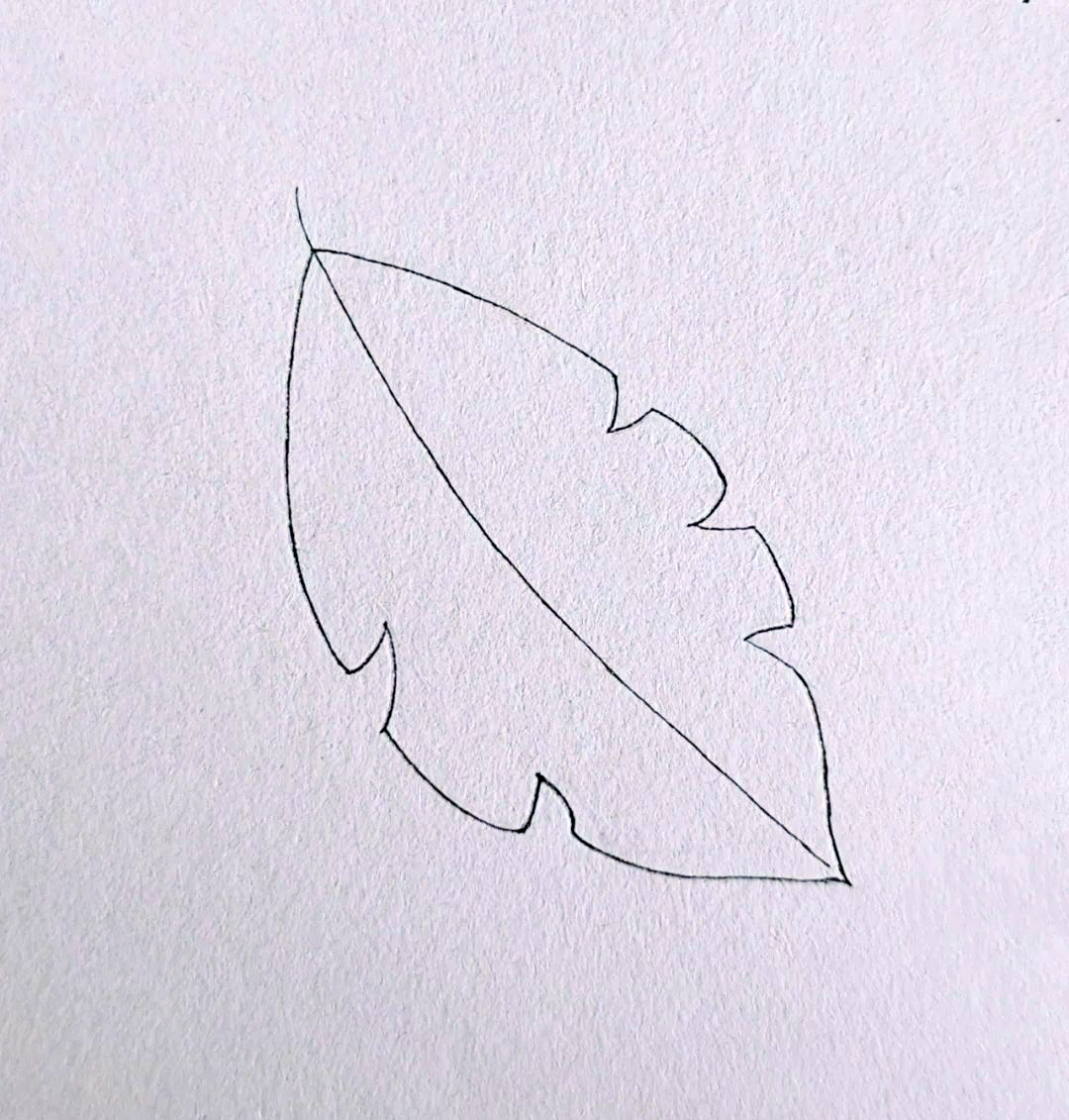 各种叶子的简笔画欣赏与感悟