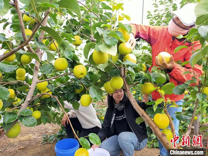 水果- 优质问答专区